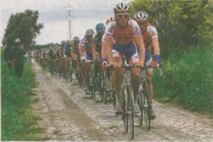 Beste zitjes voor Schaal Sels in poldergemeenten
